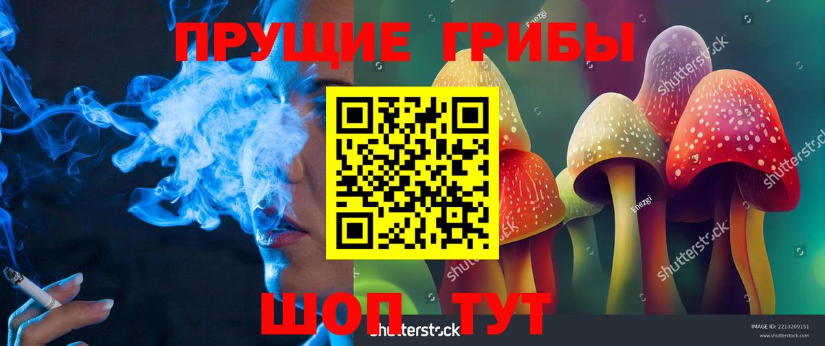 Омск  Псилоцибиновые грибы Psilocybe  купить наркотик  Вход с VPN  Псилоцибиновые грибы мицелий 