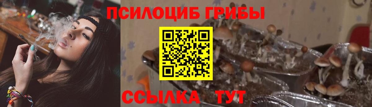 Псилоцибиновые грибы ЛСД Омск